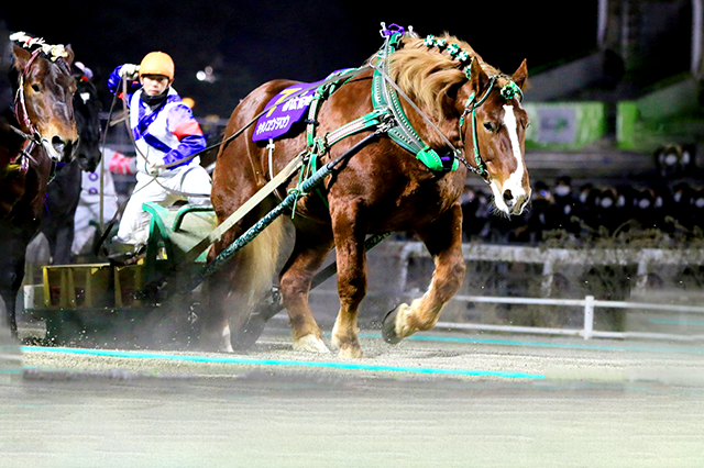 昨年の優勝馬キタノユウジロウ