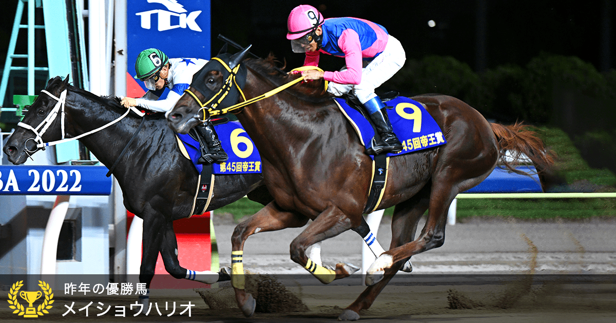 希少500名限定　有馬記念キャンペーンG I優勝馬大全2023コンプリートセット 有馬記念と東京大賞典の勝馬予想で豪華賞品を当てよう！～有馬