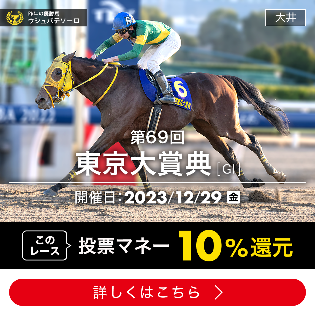 大井競馬 12/29東京大賞典指定席 ダイアモンドターン - 興行チケット