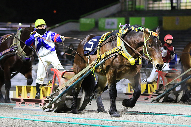 昨年の優勝馬キョウエイプラス