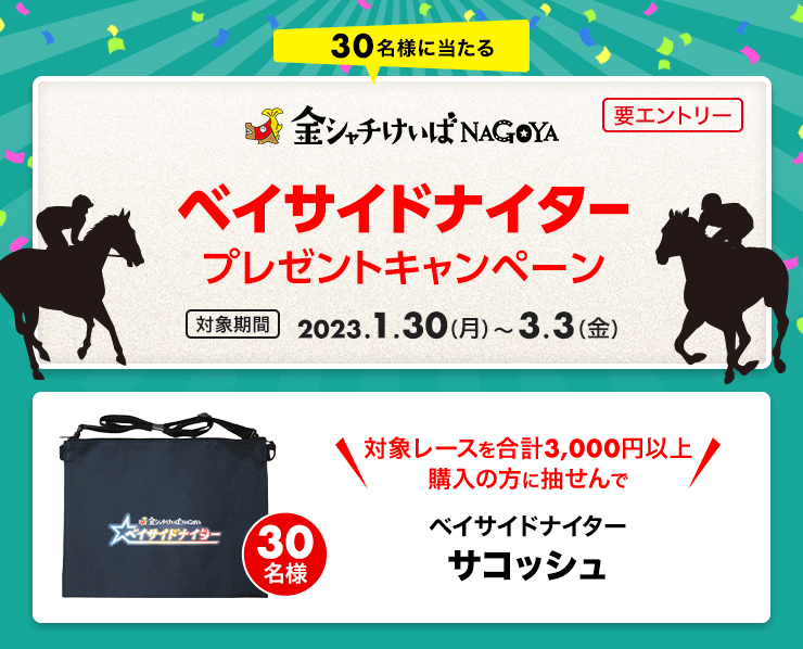 ベイサイドナイター購入でオリジナルグッズが当たる！2023:おトク情報