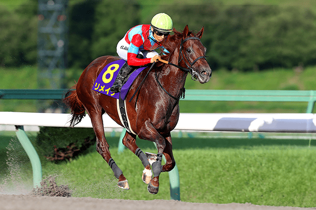 昨年の優勝馬リメイク