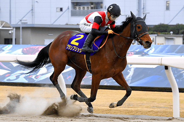 昨年の優勝馬グランブリッジ