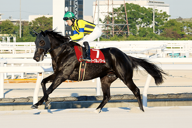 昨年の優勝馬イーグルノワール