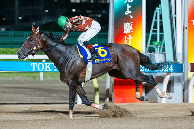 昨年の優勝馬ミックファイア