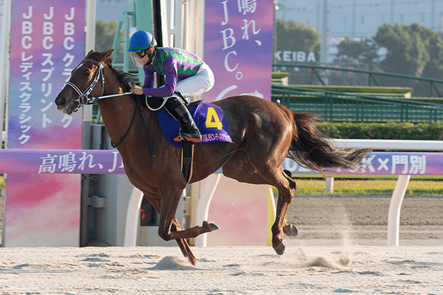 昨年の優勝馬アイコンテーラー