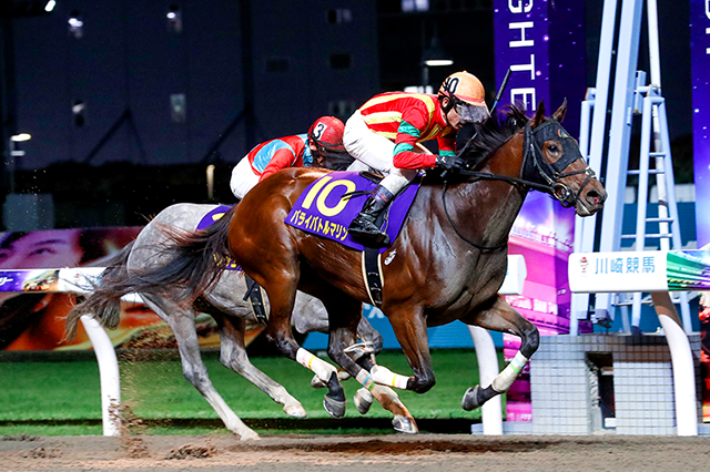 昨年の優勝馬パライバトルマリン
