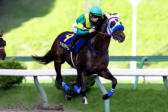 昨年の優勝馬ウィルソンテソーロ