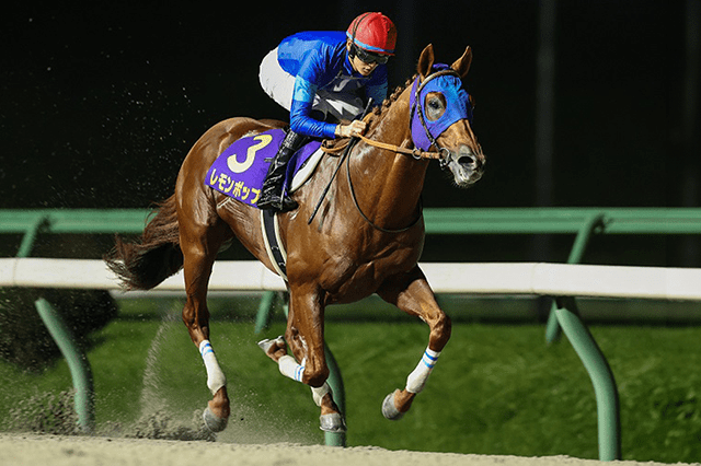 昨年の優勝馬レモンポップ