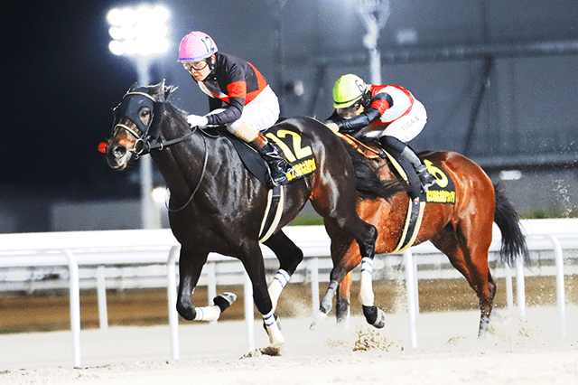 昨年の優勝馬ディクテオン