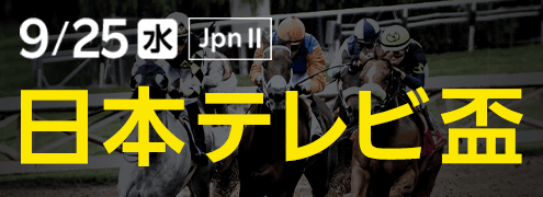 ダートグレード競走：日本テレビ盃（2024）特集ページ