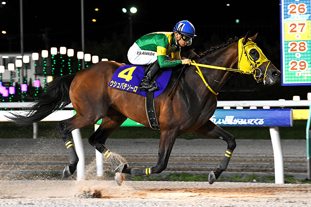 昨年の優勝馬ウシュバテソーロ