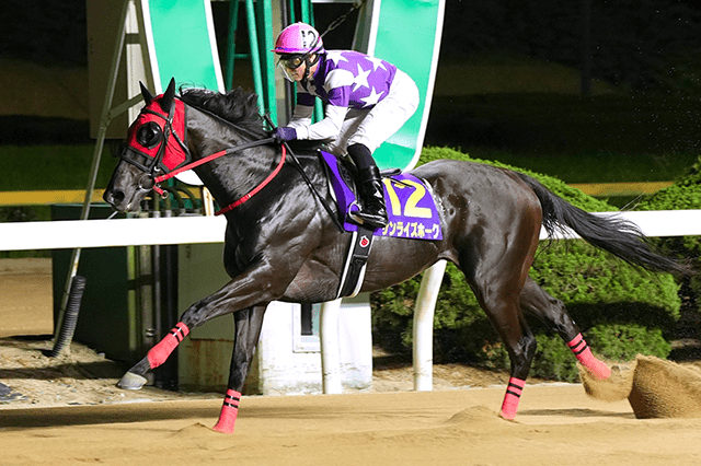 昨年の優勝馬サンライズホーク