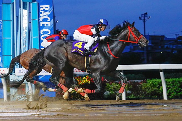 昨年の優勝馬ドライスタウト