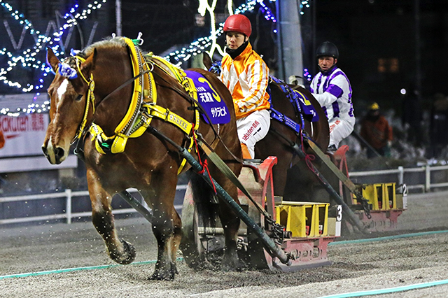 昨年の優勝馬サクラヒメ