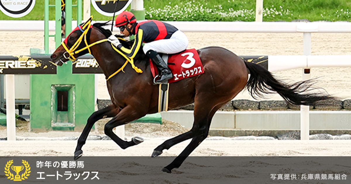 兵庫チャンピオンシップ (JpnII) 2025｜特集:おトク情報:楽天競馬
