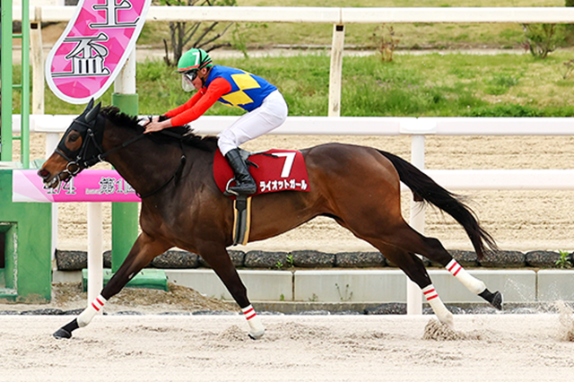 昨年の優勝馬ライオットガール
