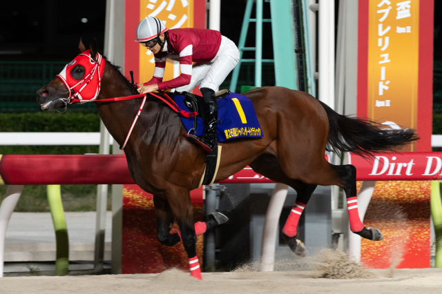 昨年の優勝馬フォーエバーヤング