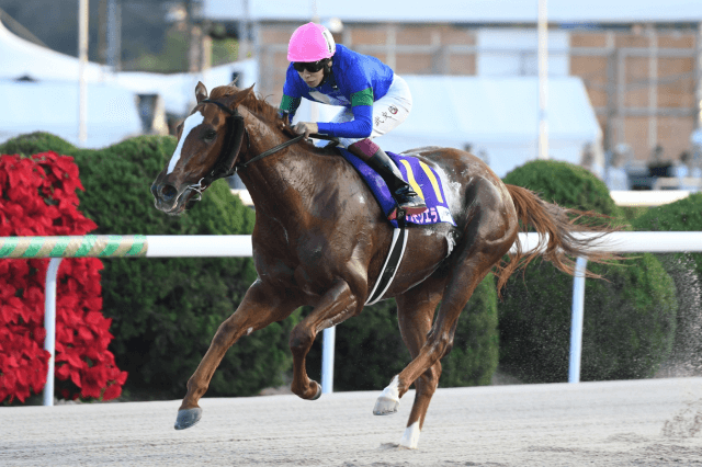 昨年の優勝馬アンモシエラ