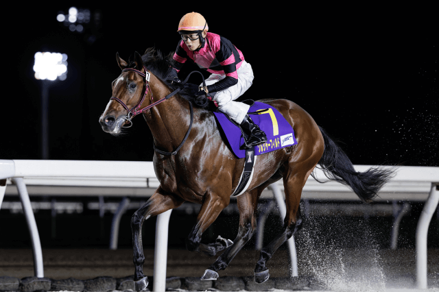 JBC2歳優駿 (JpnIII) 2025｜特集:おトク情報:楽天競馬