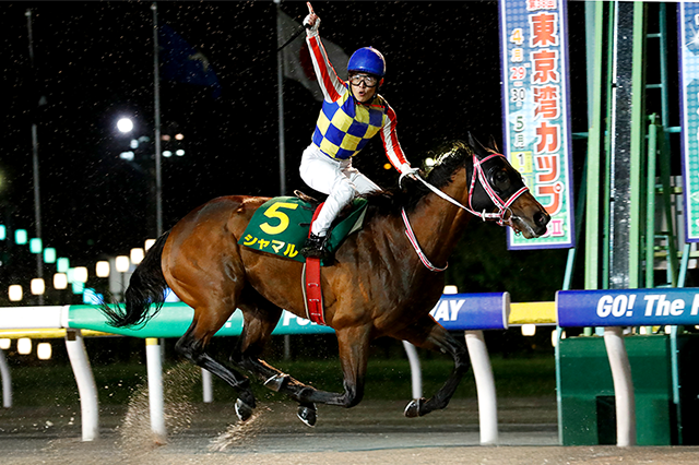 かしわ記念 (JpnI) 2025|特集:おトク情報:楽天競馬 かしわ記念 (JpnI) 2025|特集:おトク情報:楽天競馬