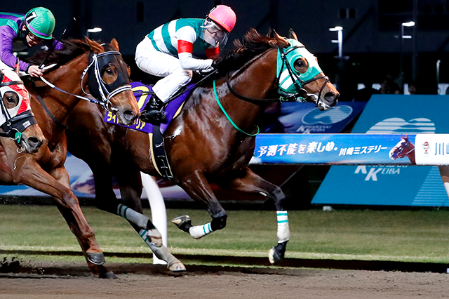 川崎記念 (JpnI) 2025|特集:おトク情報:楽天競馬 川崎記念 (JpnI) 2025|特集:おトク情報:楽天競馬