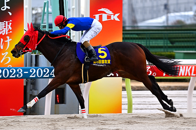 昨年の優勝馬ブルーサン
