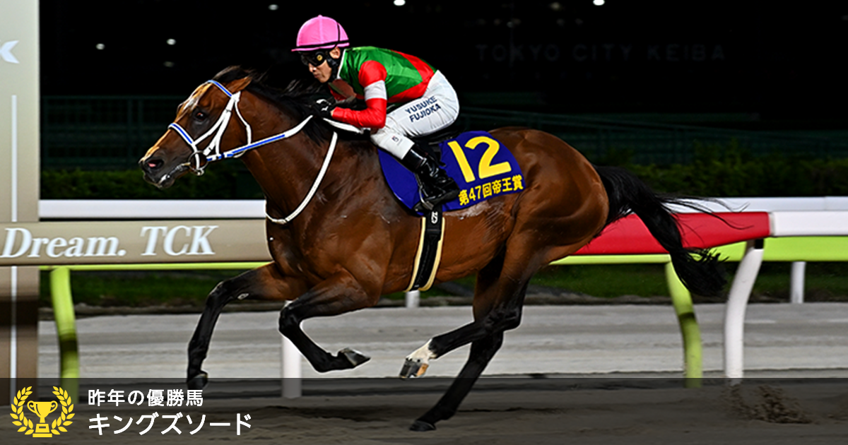 【現地的中】単勝馬券 第19回 帝王賞 ホクトベガ 現地的中】単勝馬券 第19回 帝王賞 ホクトベガ その他