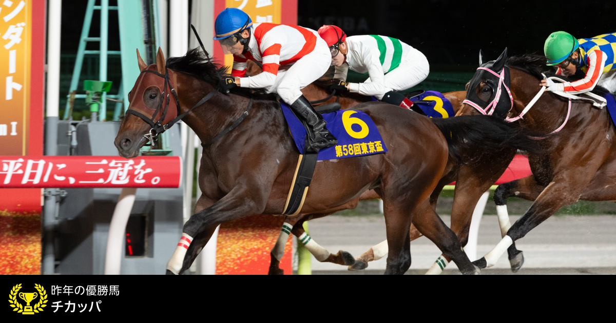 東京盃 (JpnII) 2025｜特集:おトク情報:楽天競馬