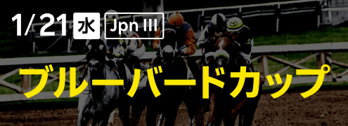 ダートグレード競走：ブルーバードカップ（2026）特集ページ