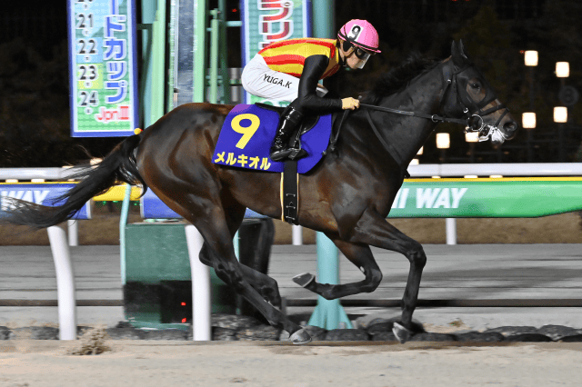 昨年の優勝馬メルキオル