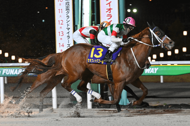 昨年の優勝馬セラフィックコール