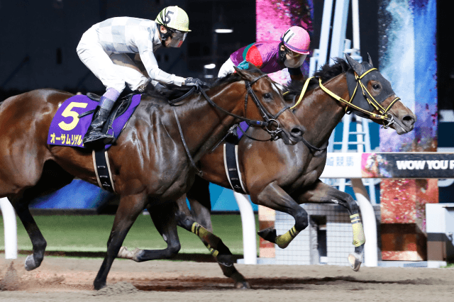 昨年の優勝馬テンカジョウ