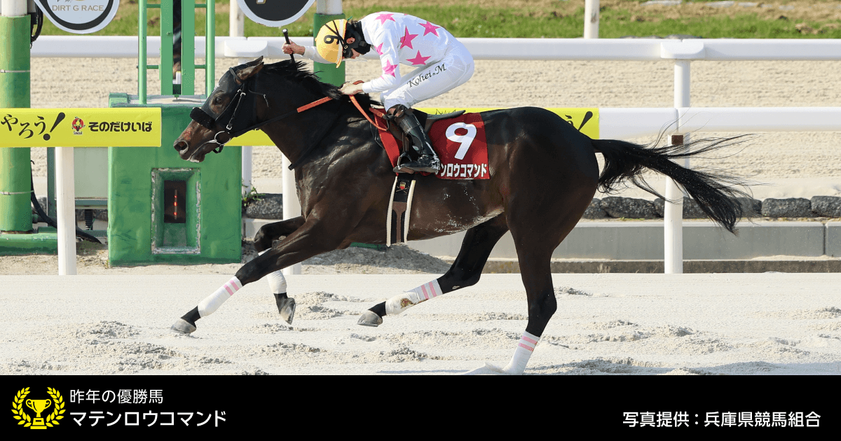 兵庫チャンピオンシップ (JpnⅡ) 2026｜特集:おトク情報:楽天競馬