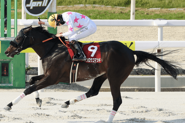 昨年の優勝馬マテンロウコマンド