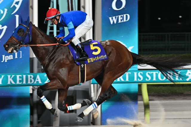 昨年の優勝馬ナルカミ