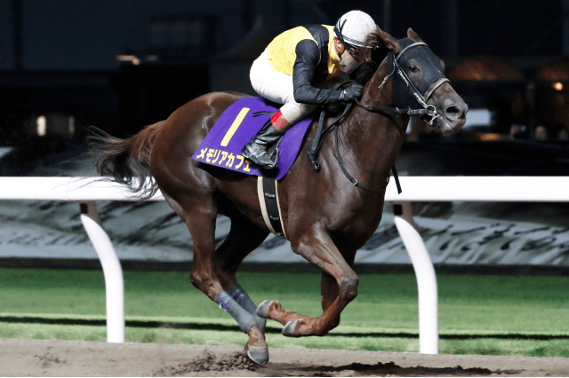 昨年の優勝馬メモリアカフェ