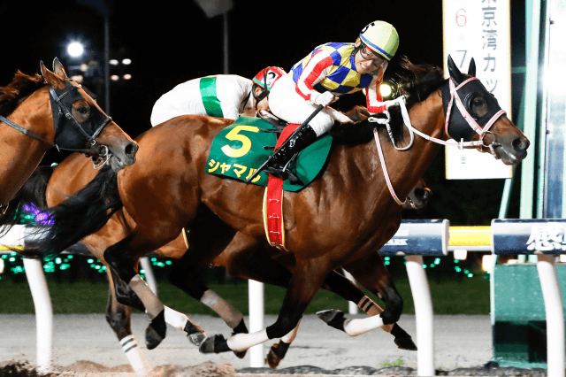 かしわ記念 (JpnⅠ) 2026｜特集:おトク情報:楽天競馬
