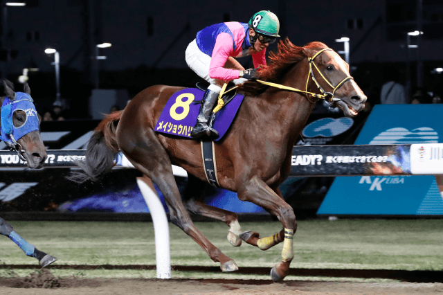 川崎記念 (JpnⅠ) 2026｜特集:おトク情報:楽天競馬