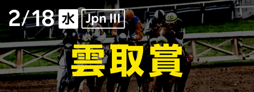 ダートグレード競走：雲取賞（2026）特集ページ