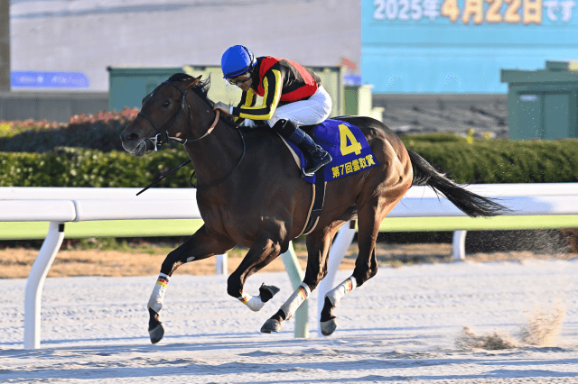 昨年の優勝馬ジャナドリア
