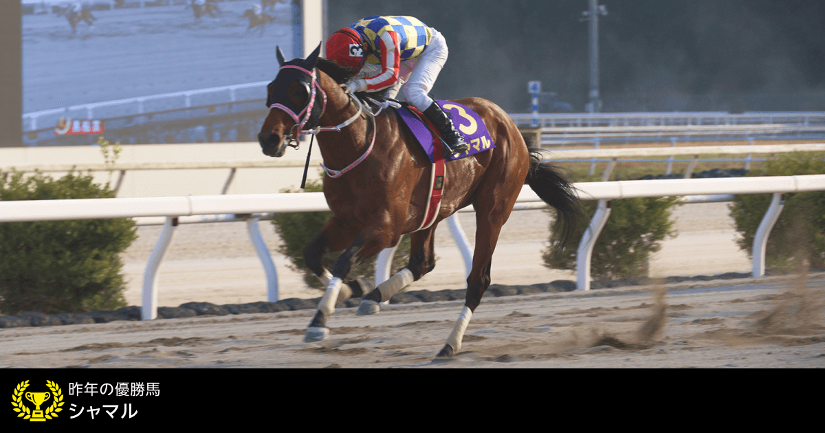黒船賞 (JpnⅢ) 2026｜特集:おトク情報:楽天競馬