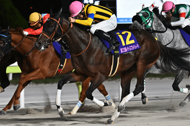 昨年の優勝馬ビヨンドザヴァレー