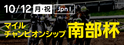 ダートグレード競走：マイルチャンピオンシップ南部杯（2026）特集ページ