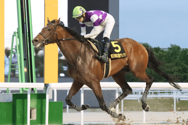 名古屋グランプリ (JpnⅡ) 2026｜特集:おトク情報:楽天競馬