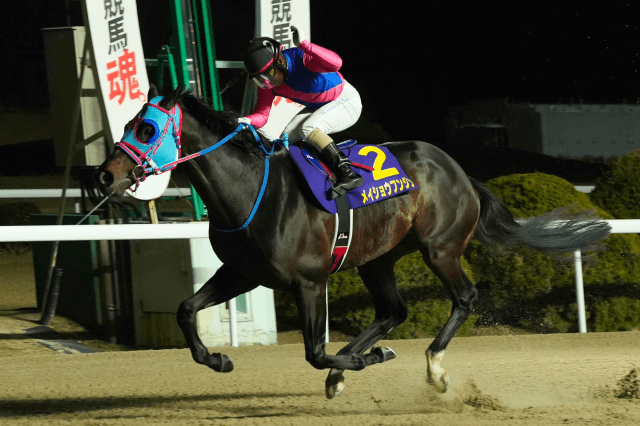 昨年の優勝馬メイショウフンジン