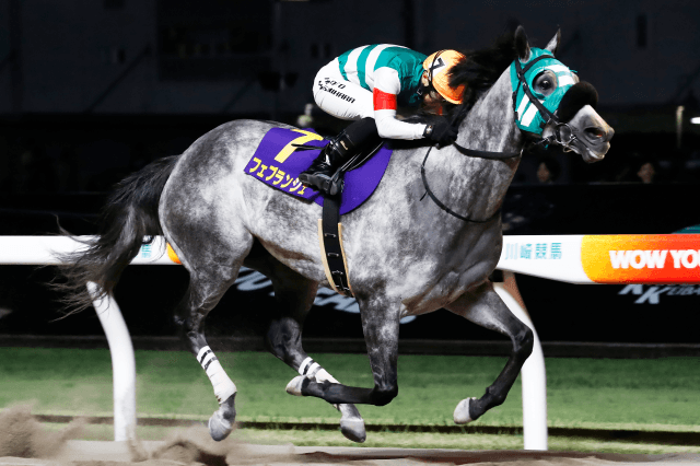 昨年の優勝馬フェブランシェ