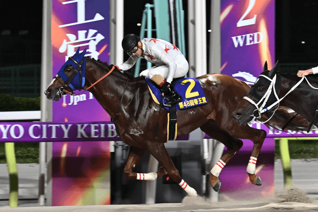 帝王賞 (JpnⅠ) 2026｜特集:おトク情報:楽天競馬