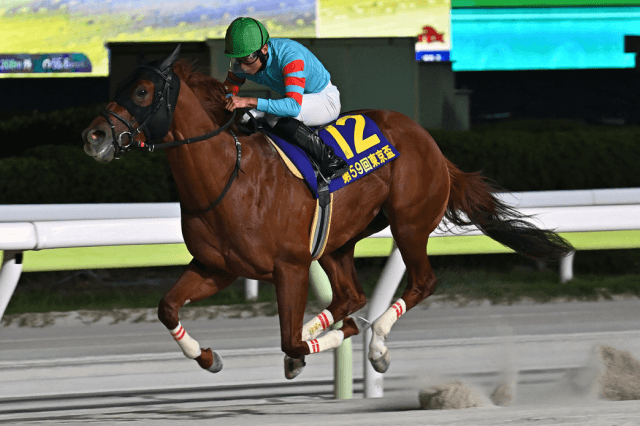 昨年の優勝馬ヤマニンチェルキ