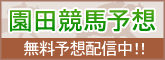 園田競馬予想